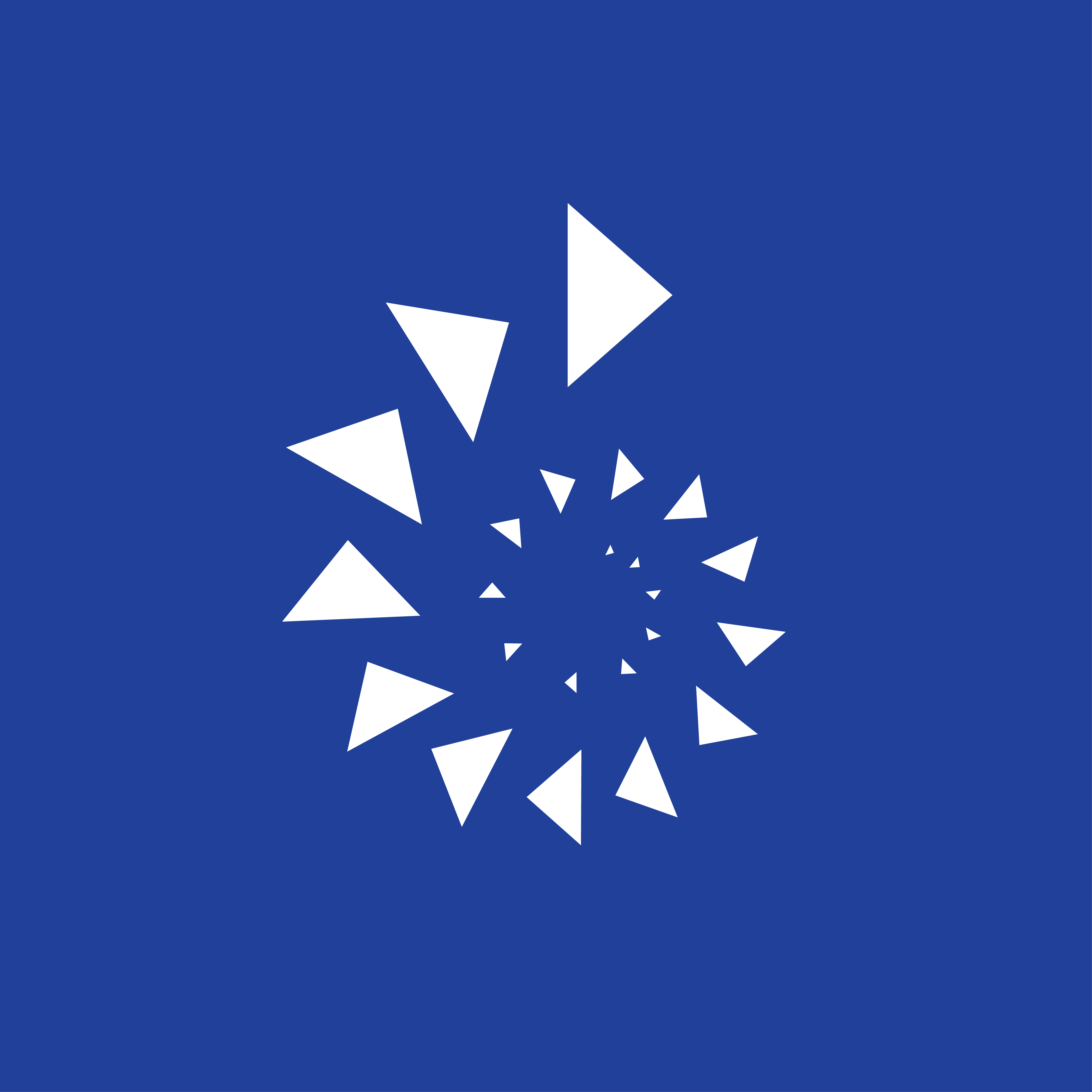 The EGS logo. It is made up of 23 triangles. They start in the centre of the screen quite small then spiral out gradually getting bigger.